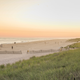 Image for article titled Rich Hamptons Residents Scared of 'Violent Energy Releases' From Offshore Wind Farm Cable